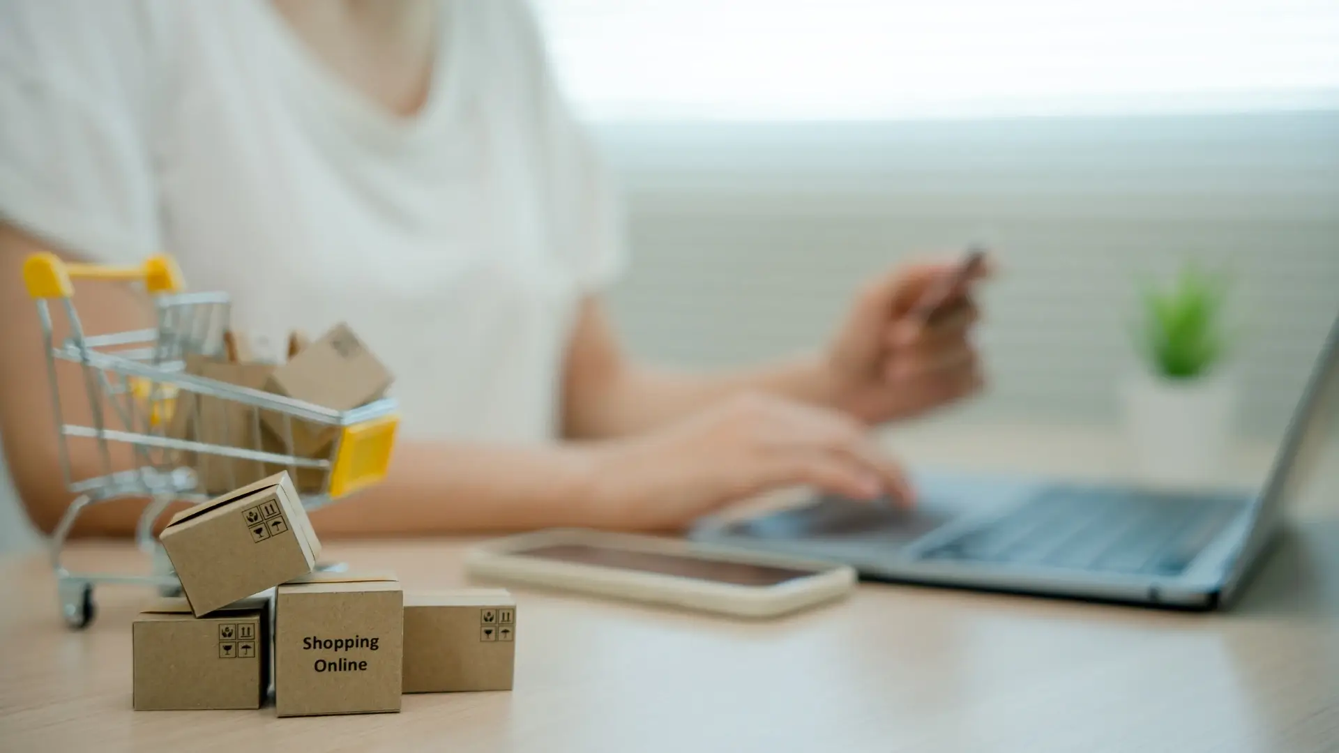 Biaya Pesanan Pembelian