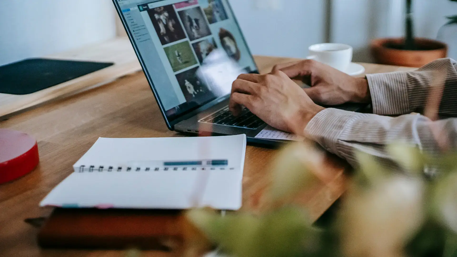 Siapkan Mental untuk Adaptasi